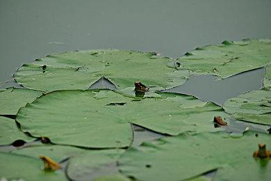 Xbox老大斯宾塞：独占游戏在未来十年内将不那么重要
